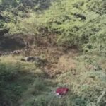 Bhavnagar Corporation: શહેરમાં 700 સ્થળે 1600 CCTV કેમેરા લાગશે, નિયમિત થશે મોનિટરિંગ